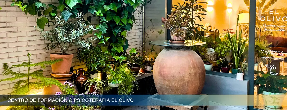 el olivo banner